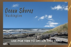 PC 1089 OS BEACH NI TN