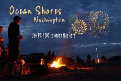 PC 1090 FIREWORKS AT THE BEACH TN