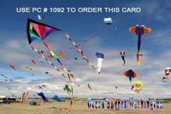 PC 1092 KITES AT OCEAN SHORES TN