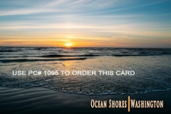 PC 1095 OCEAN SHORES BEACH DAVE SIZER TN