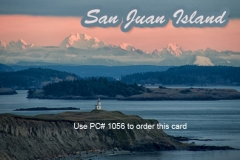 PC 1056 CATTLE POINT LTHS TN